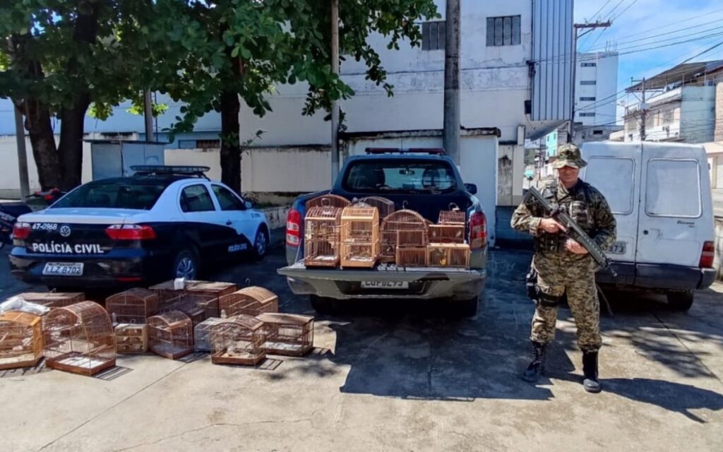 Policiamento Ambiental da PM apreende 60 pássaros silvestres e 50 caranguejos-uçá em feira de Belford Roxo