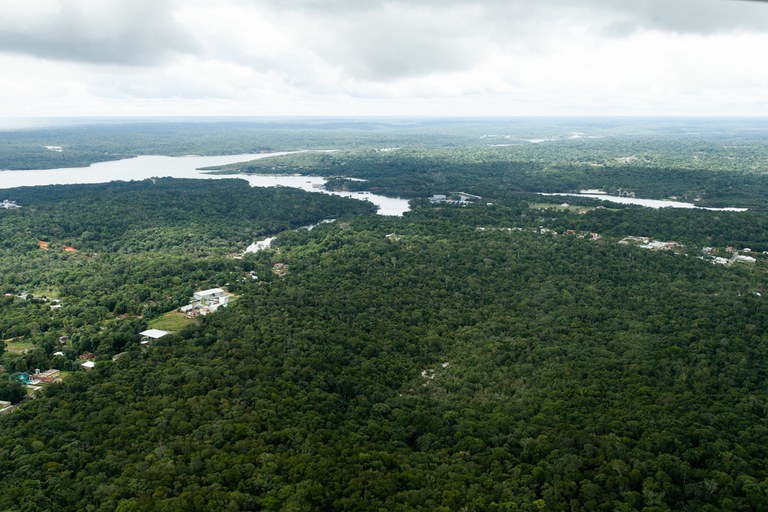 Desmatamento na Amazônia tem queda de 68%