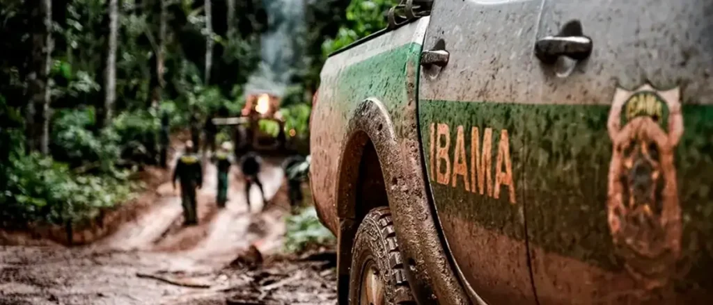 Concurso IBAMA 2025: Sua chance de impactar o futuro ambiental do Brasil