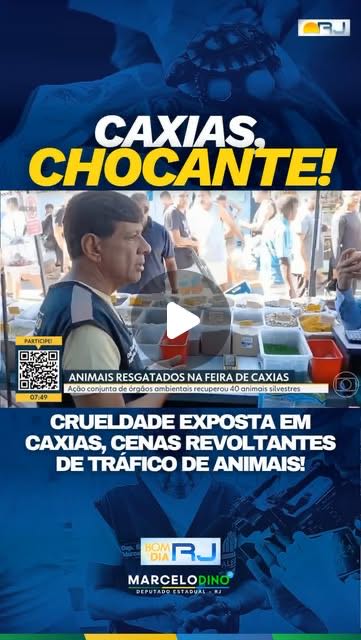 Maus-tratos contra animais não é comércio. É crime.