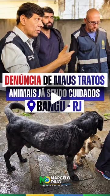 DENÚNCIA É PARA SER APURADA. JUSTIÇA É PARA SER FEITA. E O BEM-ESTAR DOS ANIMAIS É A NOSSA PRIORIDADE.